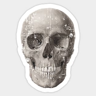 Worn Out Skull Sticker